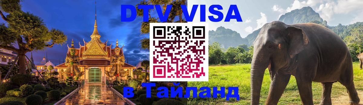 Оформление DTV визы под ключ: стоимость и тарифы, только загранпаспорт - 19.11.2025 